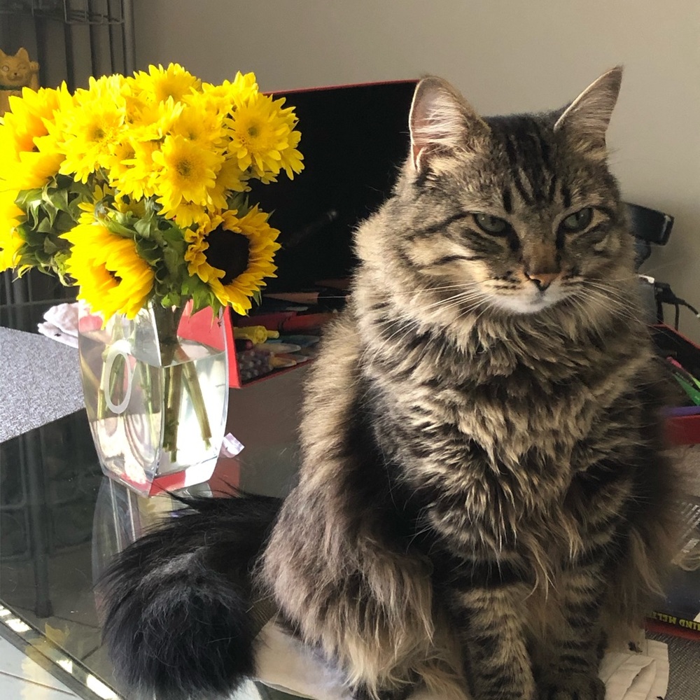 Meet your Posher, Liv